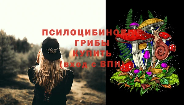 apvp Арсеньев