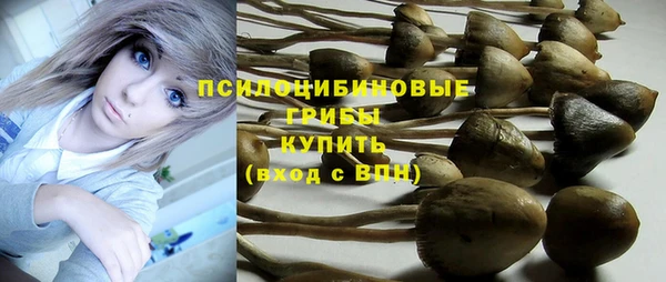 apvp Арсеньев