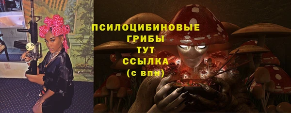 apvp Арсеньев